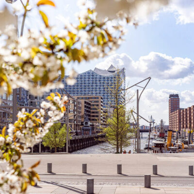 lifetree_photography_hamburg_portraet_007