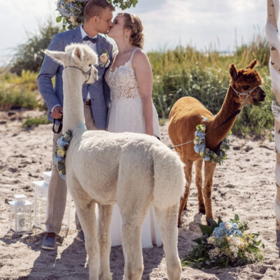lifetree_photography_hamburg_hochzeit